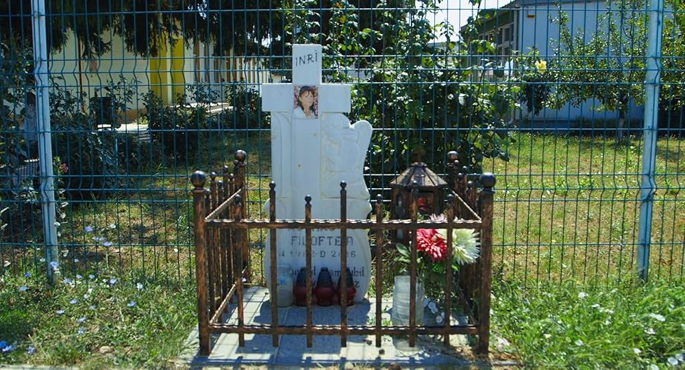 世界の終わりにはあまり期待しないでの画像