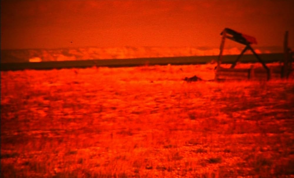 ザ・ガーデンの画像