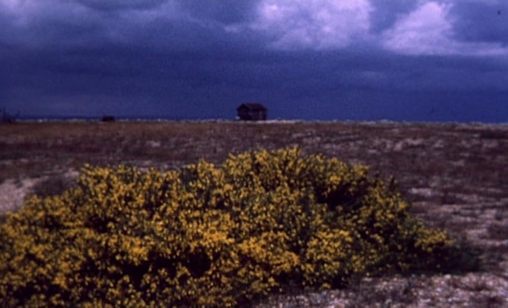 ザ・ガーデンの画像