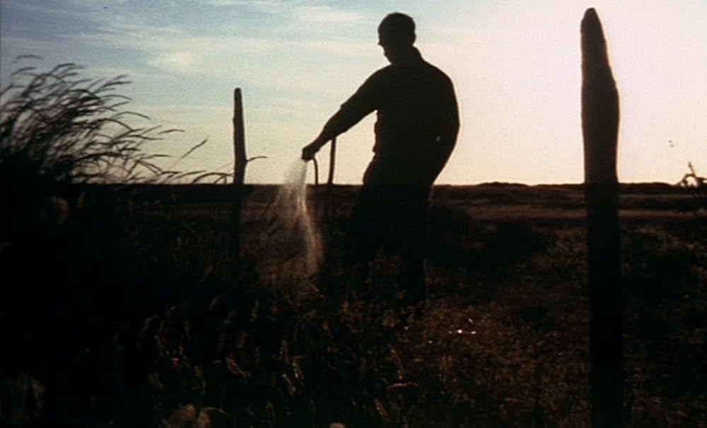 ザ・ガーデンの画像