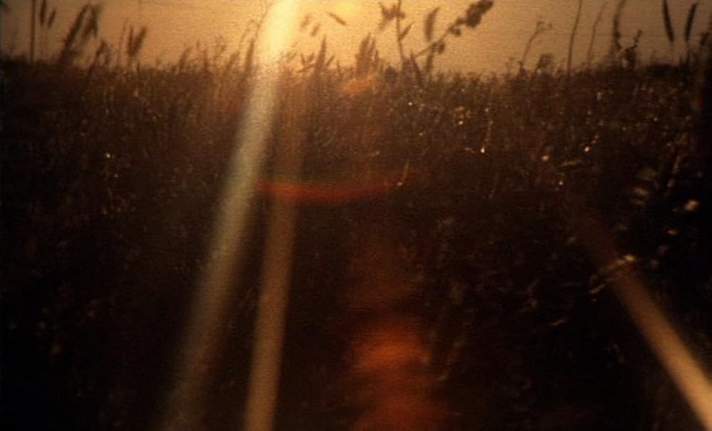 ザ・ガーデンの画像