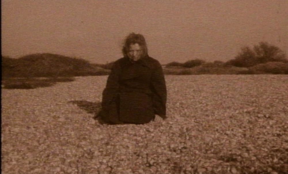 ザ・ガーデンの画像