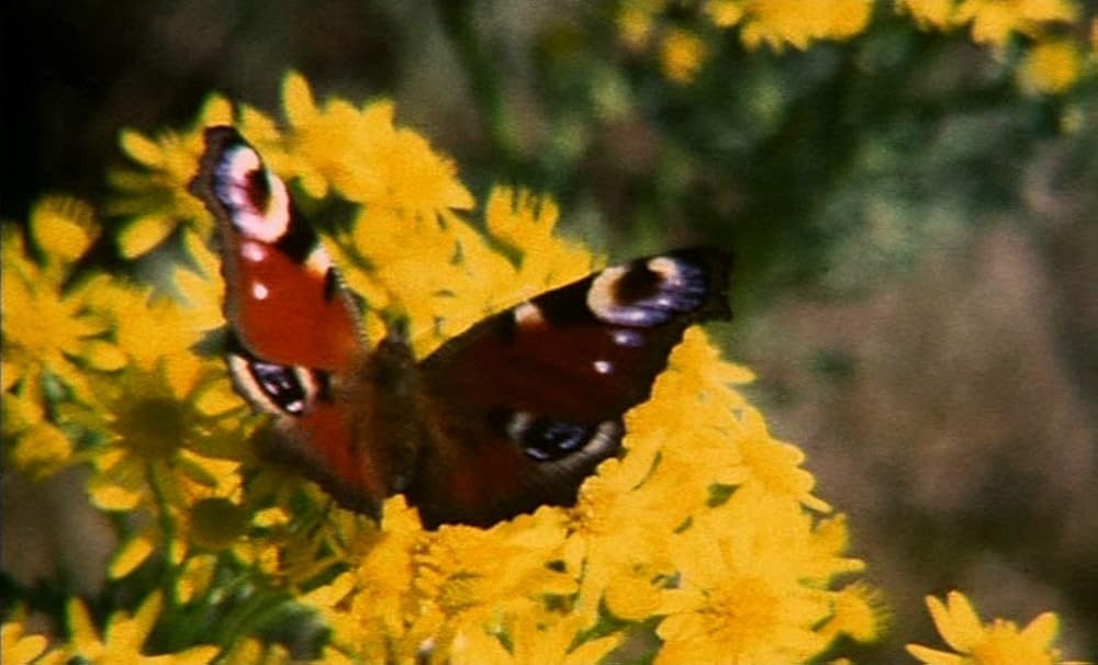 ザ・ガーデンの画像
