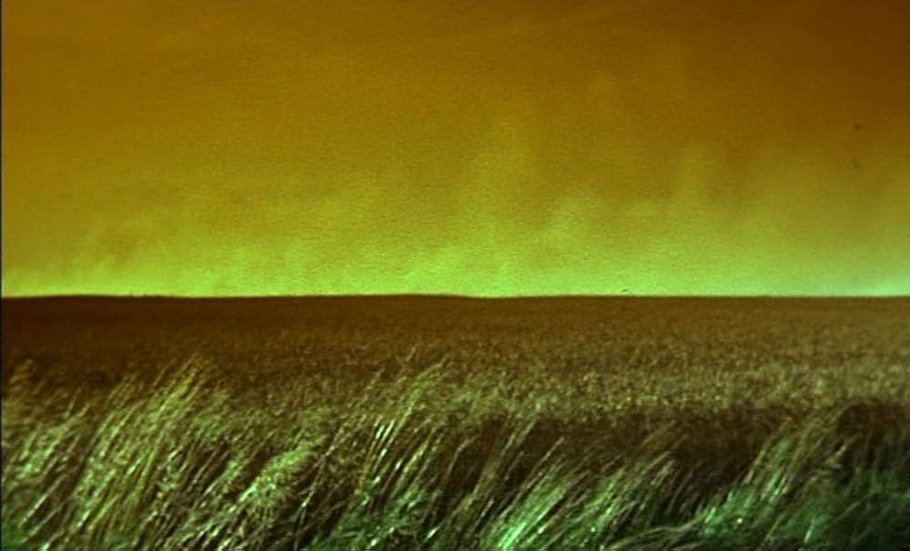 ザ・ガーデンの画像