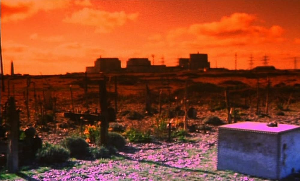 ザ・ガーデンの画像