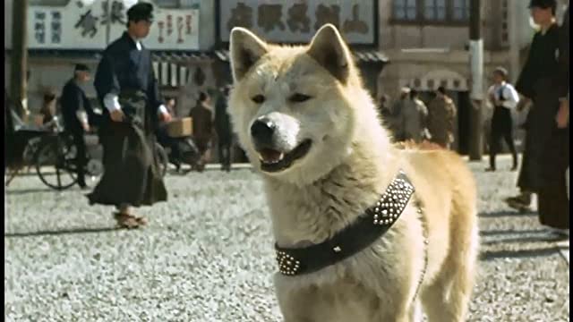 ハチ公物語の画像