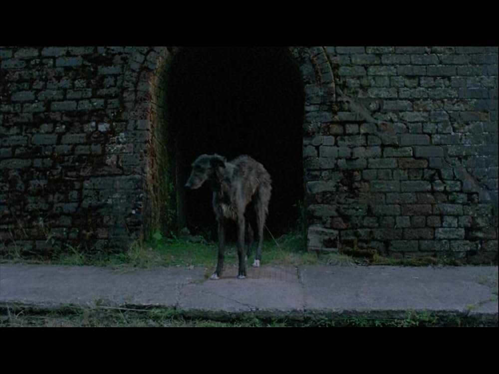 ベント／堕ちた饗宴の画像