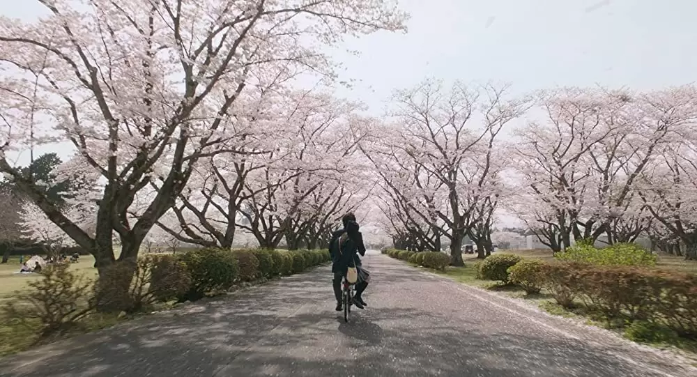 愛唄 ―約束のナクヒト―の画像