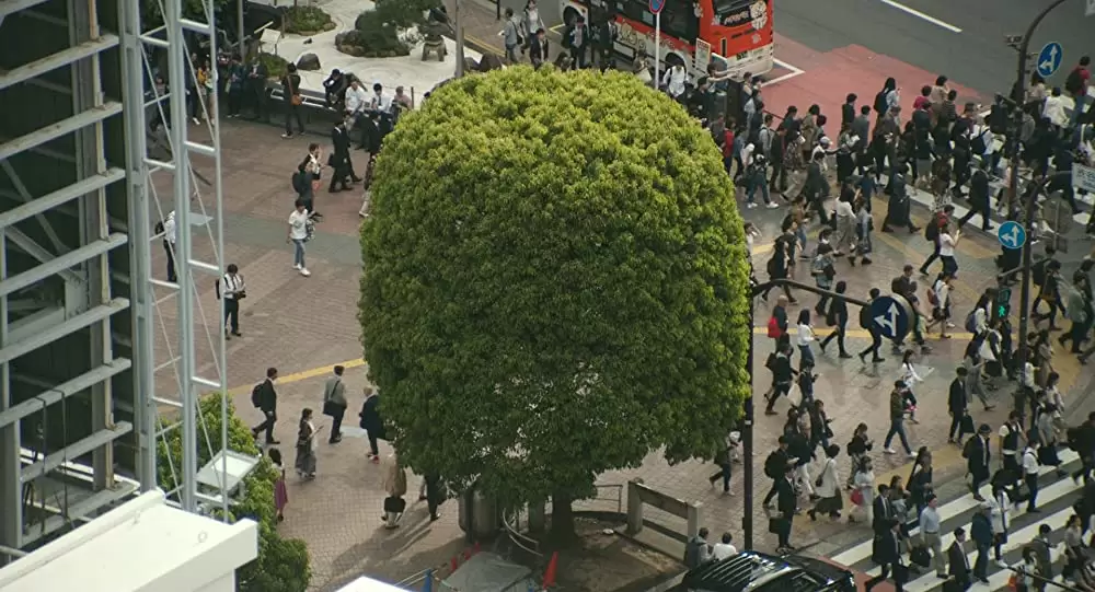 愛唄 ―約束のナクヒト―の画像