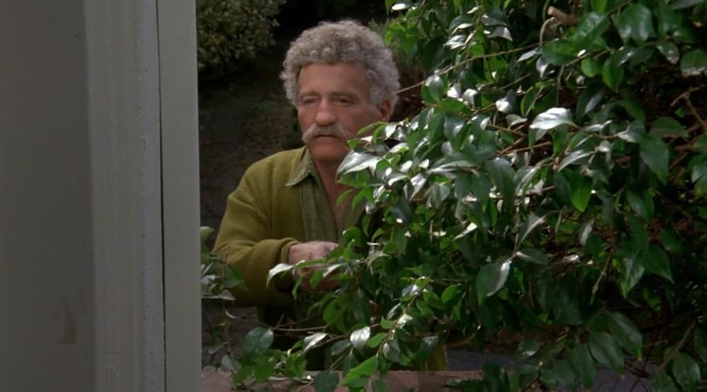 やぶれかぶれ一発勝負！！の画像