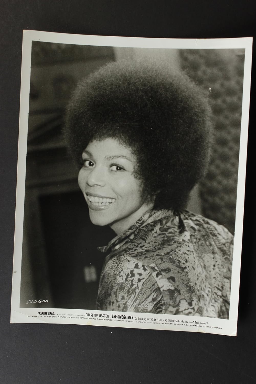 地球最後の男 オメガマンの画像