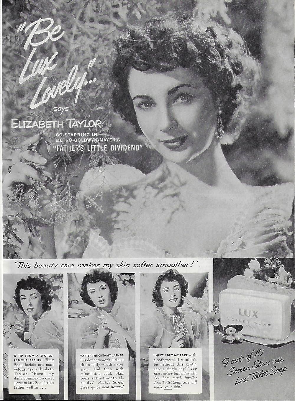 可愛い配当の画像