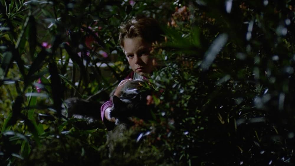 マイキーの画像