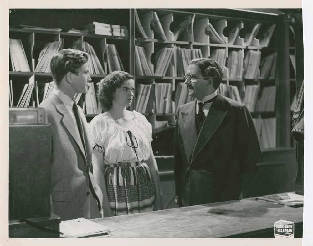 ピッピの新しい冒険の画像