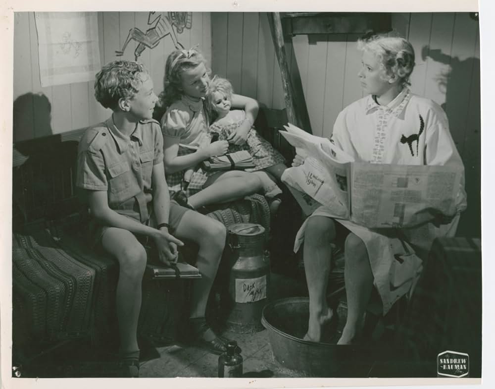 ピッピの新しい冒険の画像