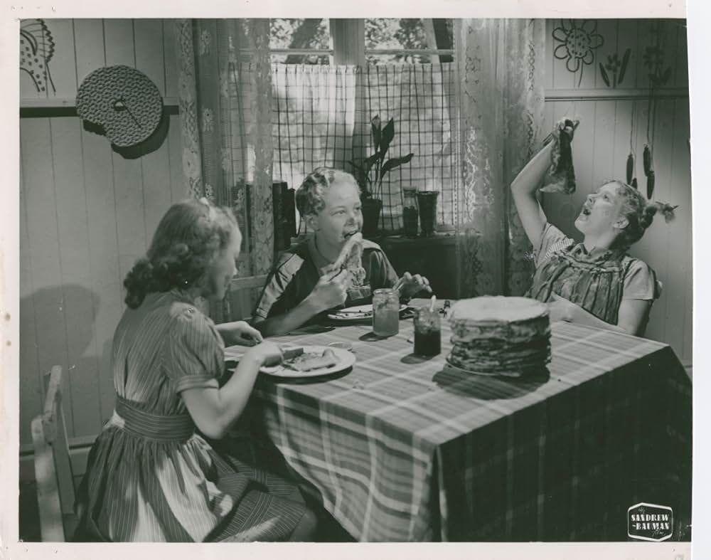 ピッピの新しい冒険の画像