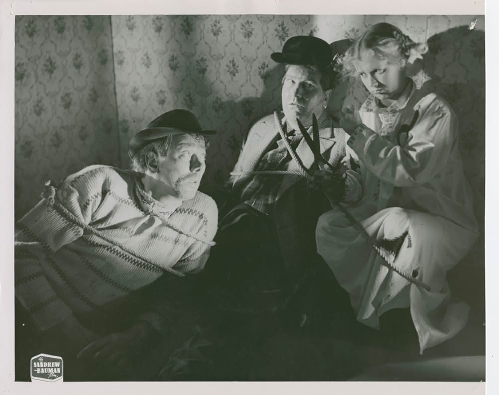 ピッピの新しい冒険の画像