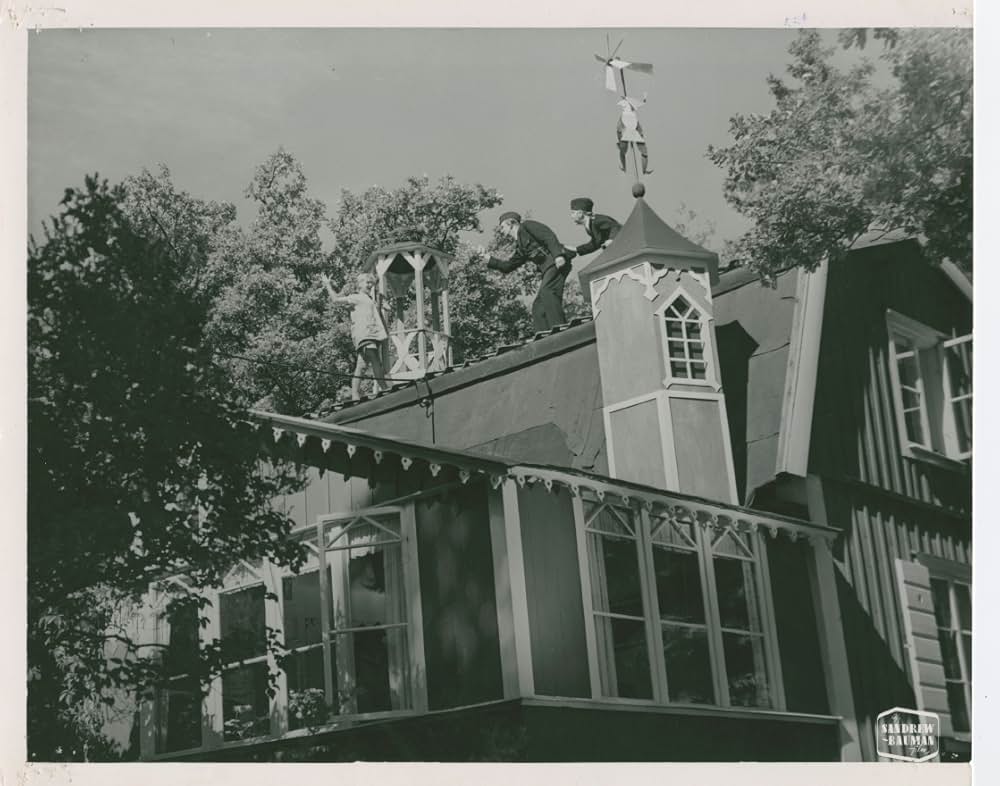 ピッピの新しい冒険の画像