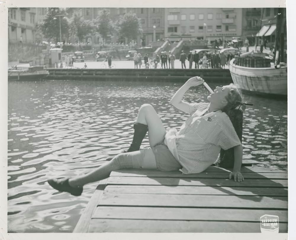 ピッピの新しい冒険の画像