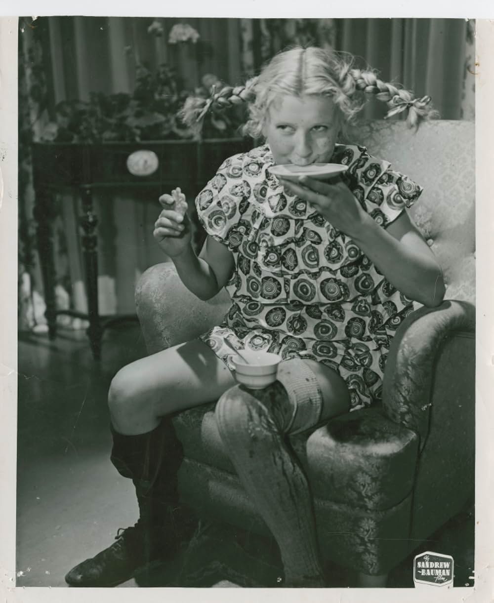 ピッピの新しい冒険の画像