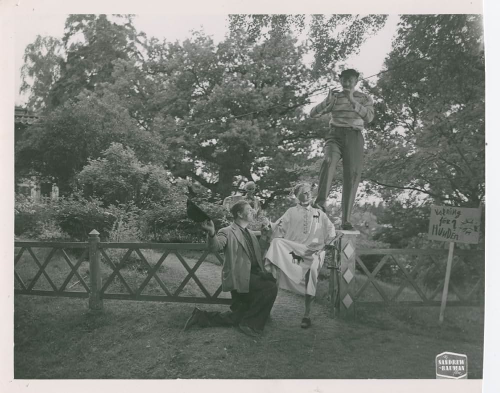 ピッピの新しい冒険の画像