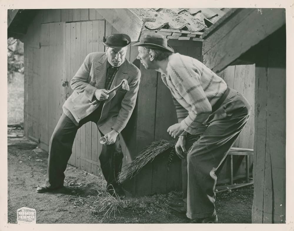 ピッピの新しい冒険の画像