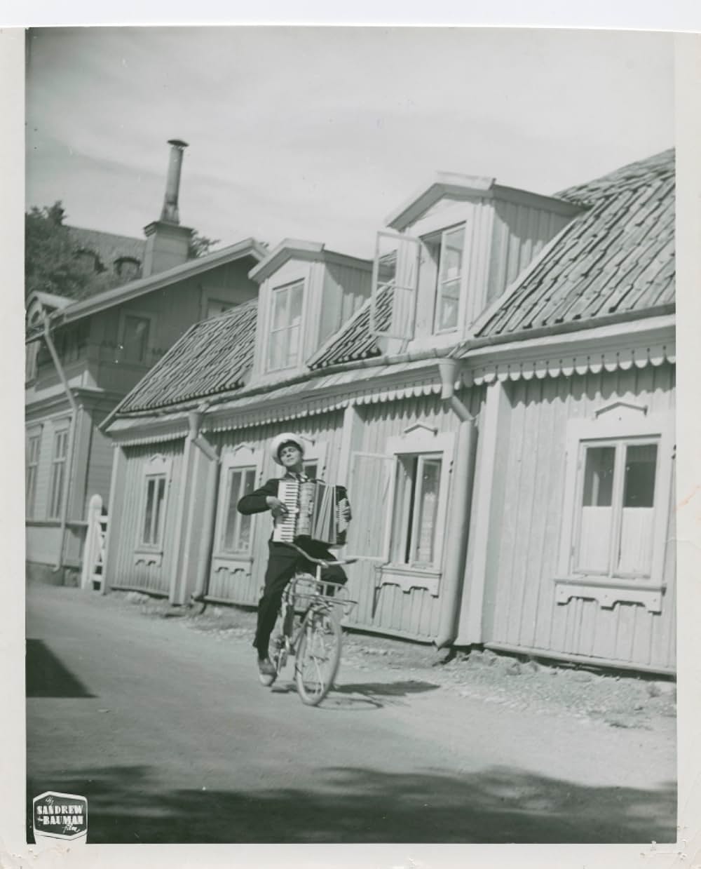 ピッピの新しい冒険の画像