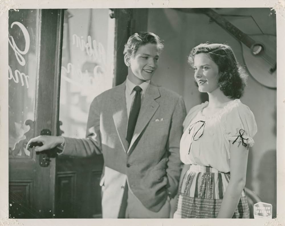 ピッピの新しい冒険の画像