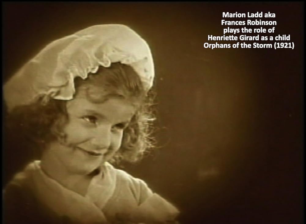 嵐の孤児の画像