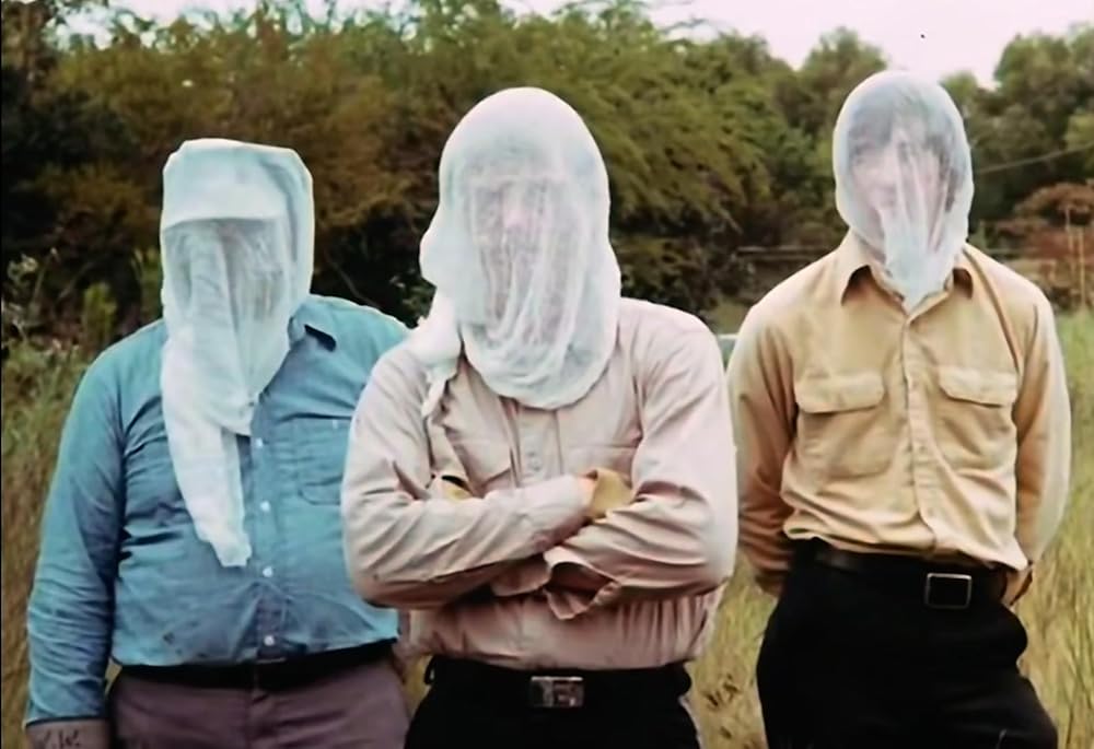 キラー・ビーの画像