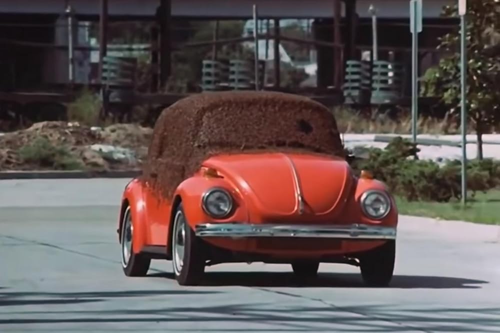 キラー・ビーの画像