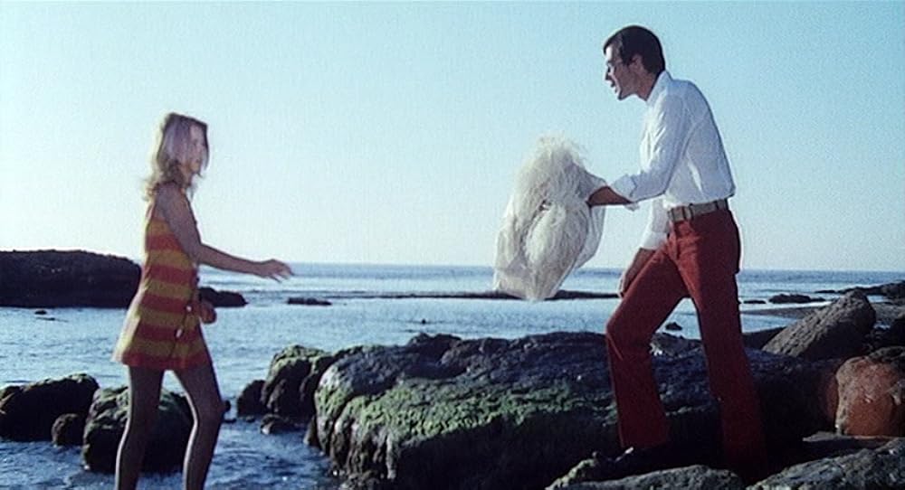 ファイブ・バンボーレの画像