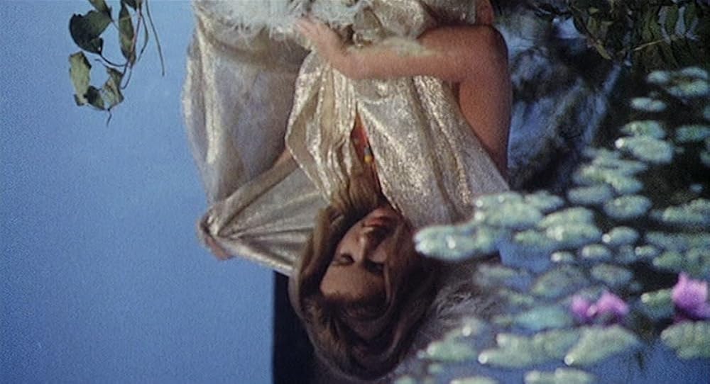 ファイブ・バンボーレの画像