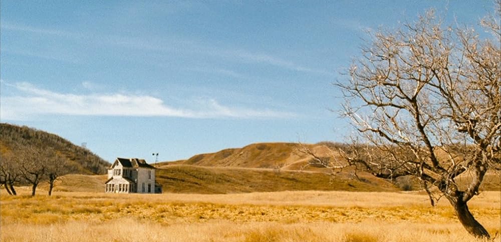 ローズ・イン・タイドランドの画像