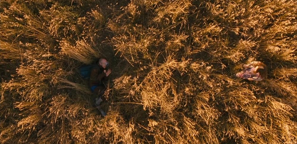 ローズ・イン・タイドランドの画像