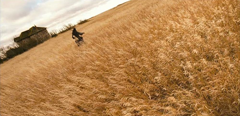 ローズ・イン・タイドランドの画像