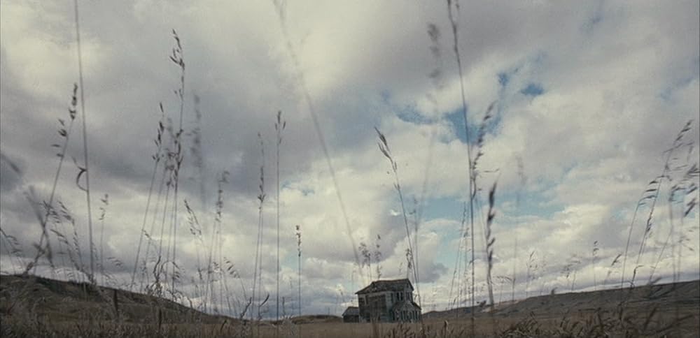 ローズ・イン・タイドランドの画像