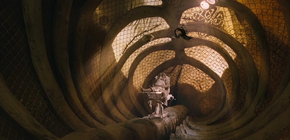 ローズ・イン・タイドランドの画像