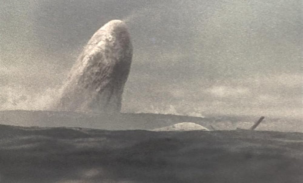 白鯨の画像