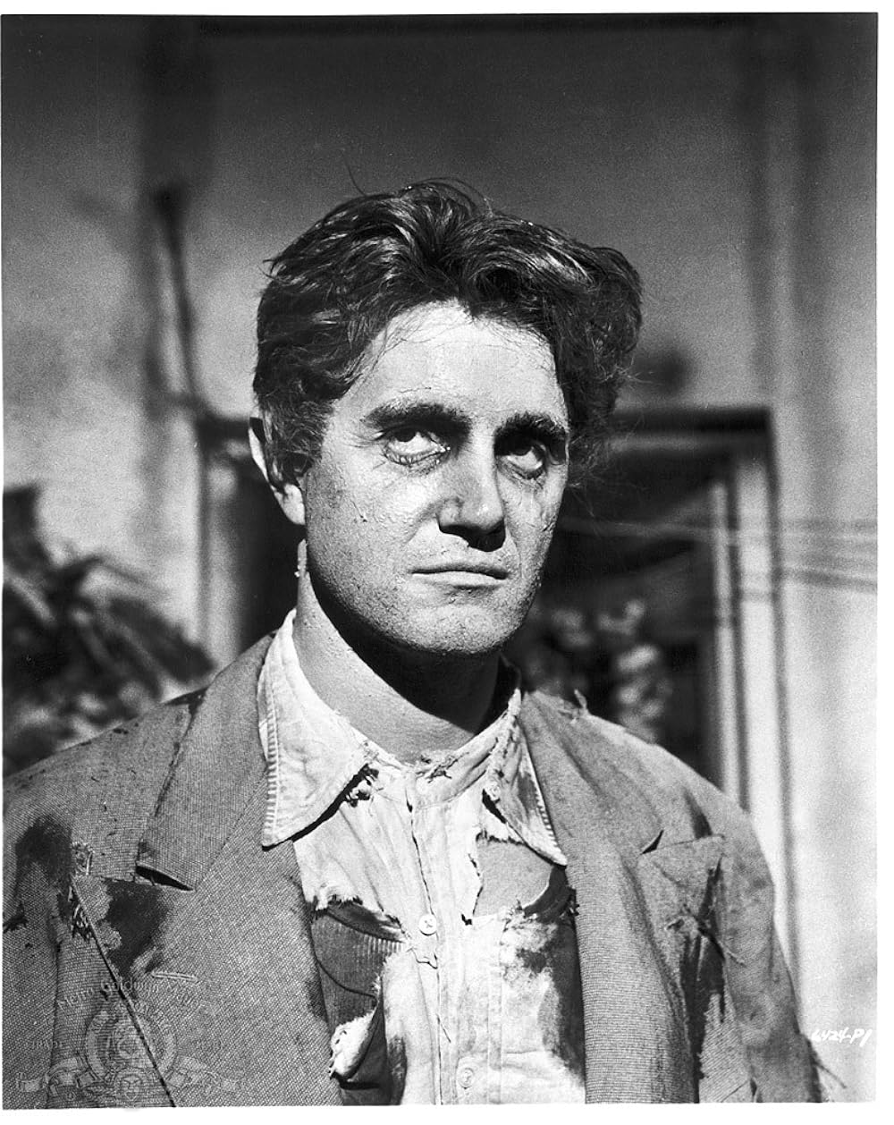 地球最後の男の画像