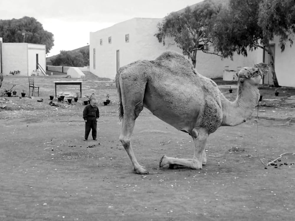 小人の饗宴の画像