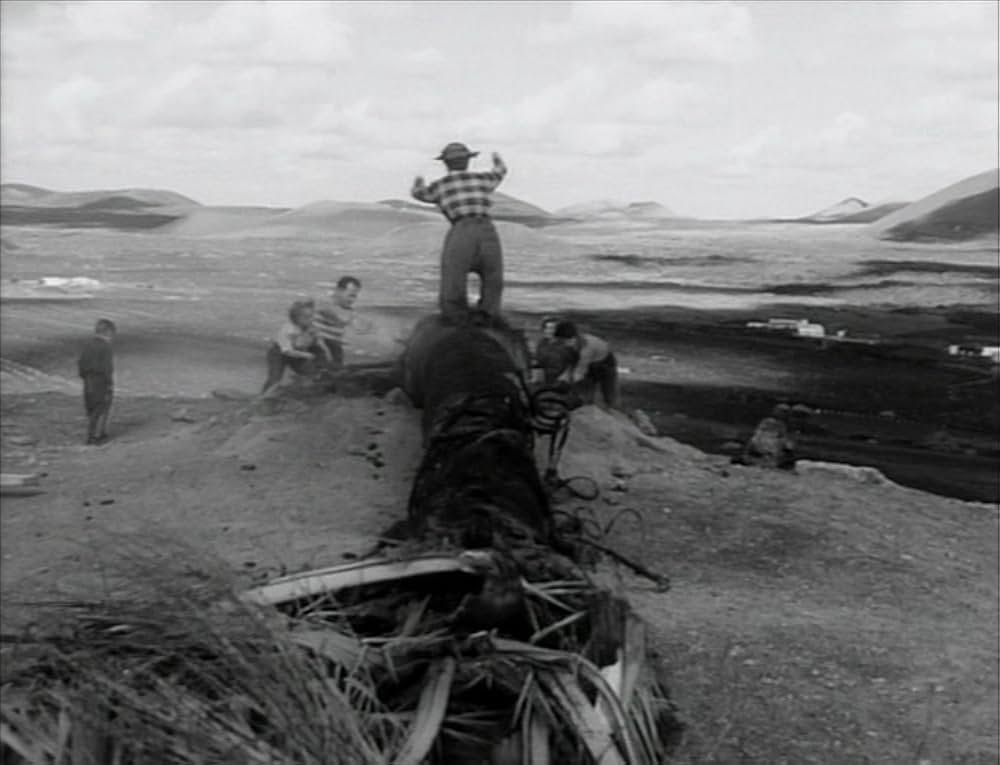 小人の饗宴の画像