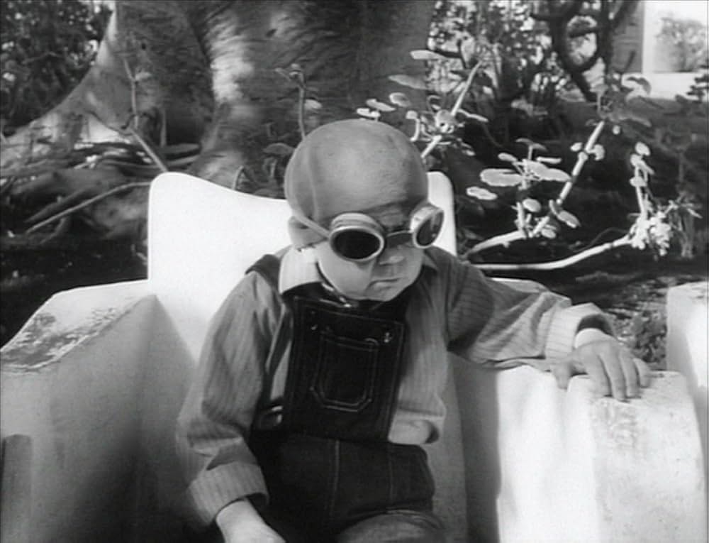 小人の饗宴の画像