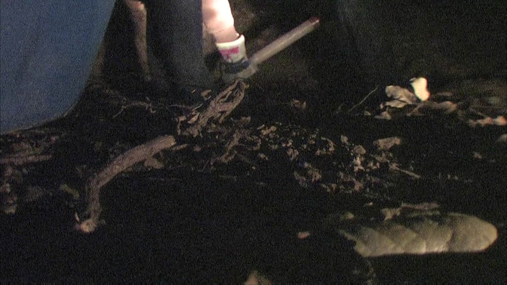 Megan Is Missing（原題）の画像