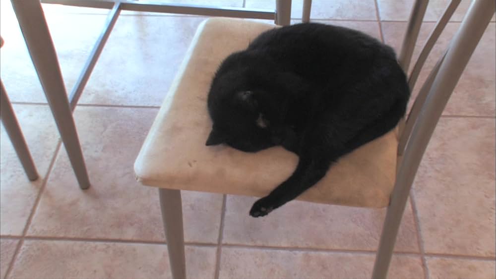 Megan Is Missing（原題）の画像