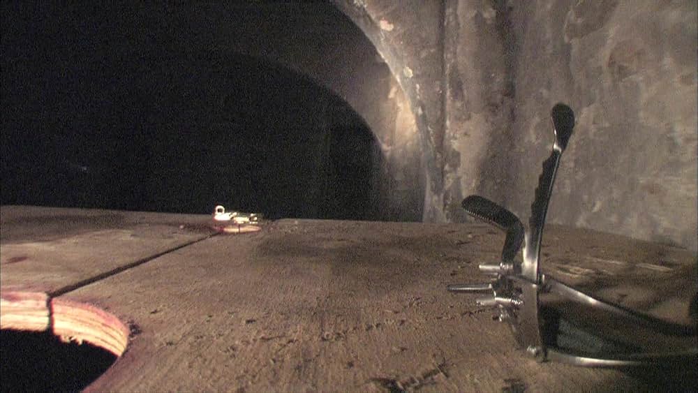 Megan Is Missing（原題）の画像