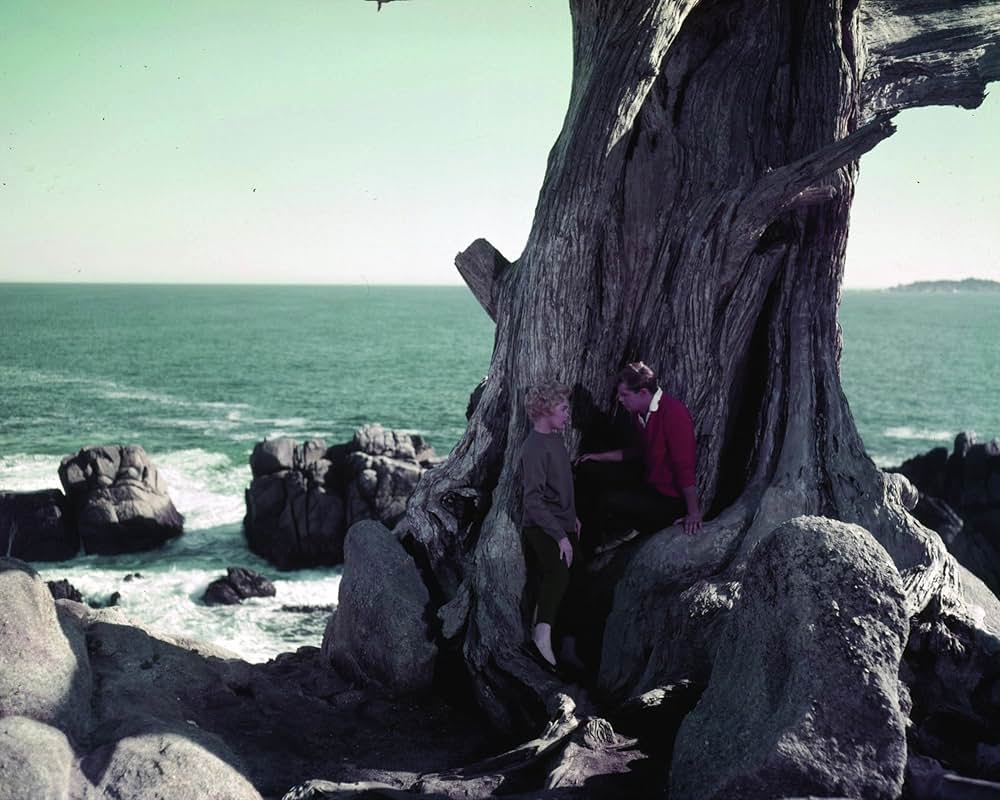 避暑地の出来事の画像