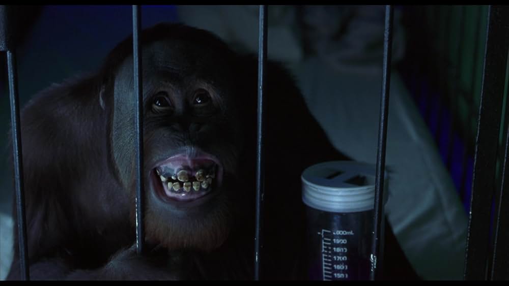 モンキーボーンの画像