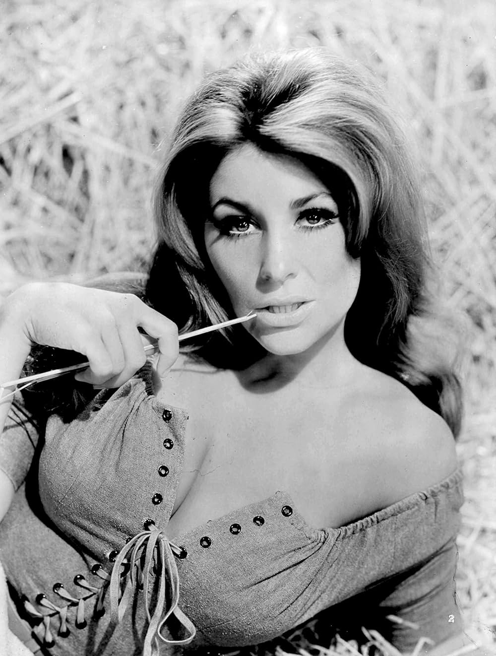 エル・ドラドの画像