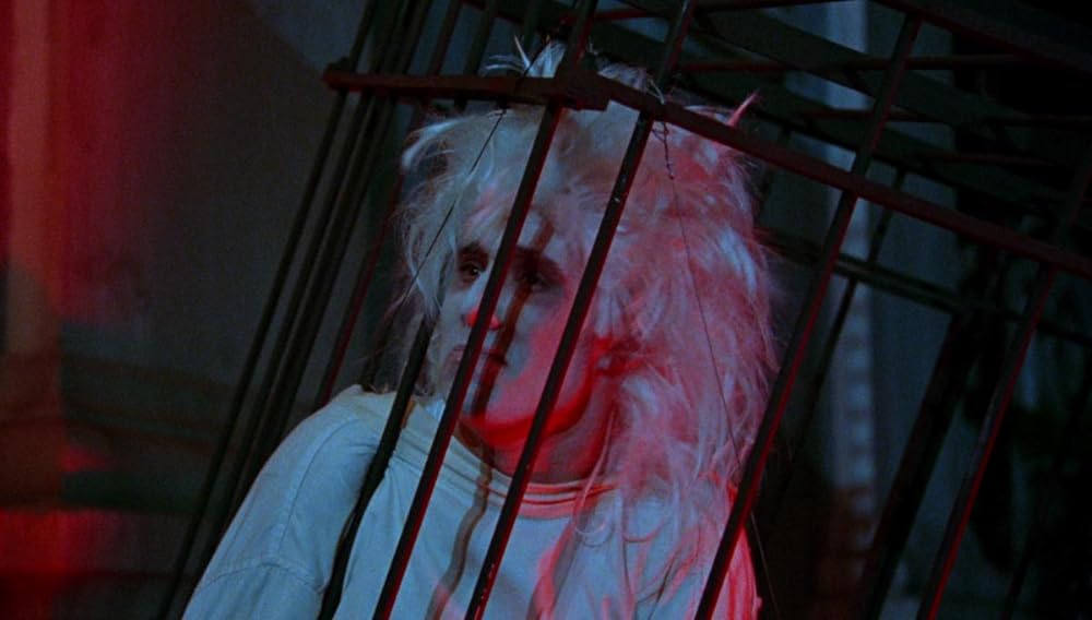 ポップコーンの画像